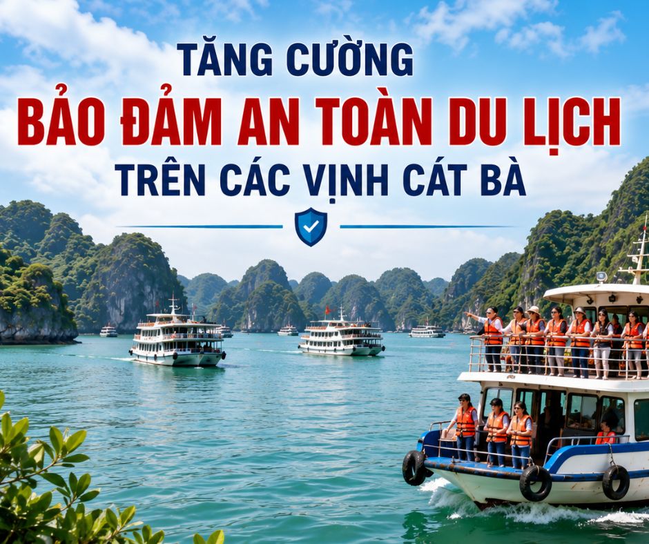 TĂNG CƯỜNG CÔNG TÁC QUẢN LÝ, ĐẢM BẢO AN TOÀN TRONG HOẠT ĐỘNG DU LỊCH TRÊN CÁC VỊNH THUỘC QUẦN ĐẢO CÁT BÀ